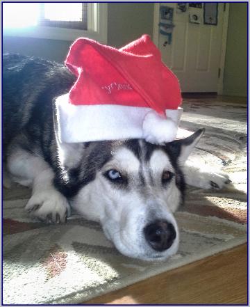 Izzy, such a sweet girl!