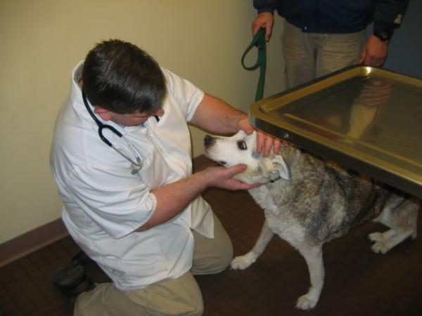 Dr. Bart is so gentle!