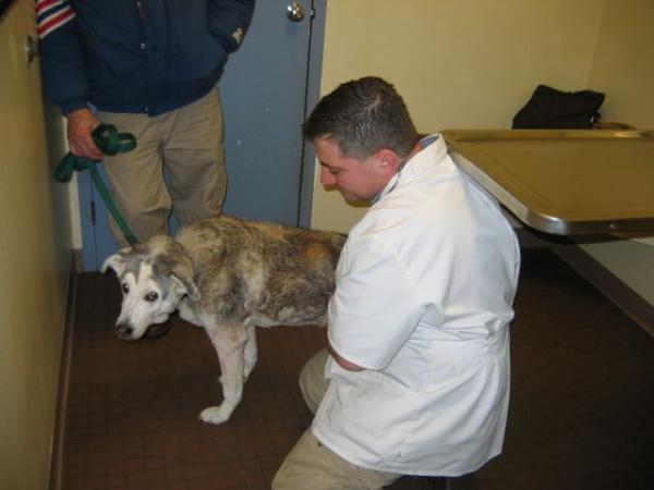 Just when I started to enjoy myself, it's time to go!  See you later Doc.